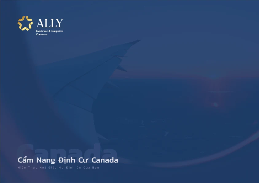 ALLY · Cẩm nang định cư · Artwork 12