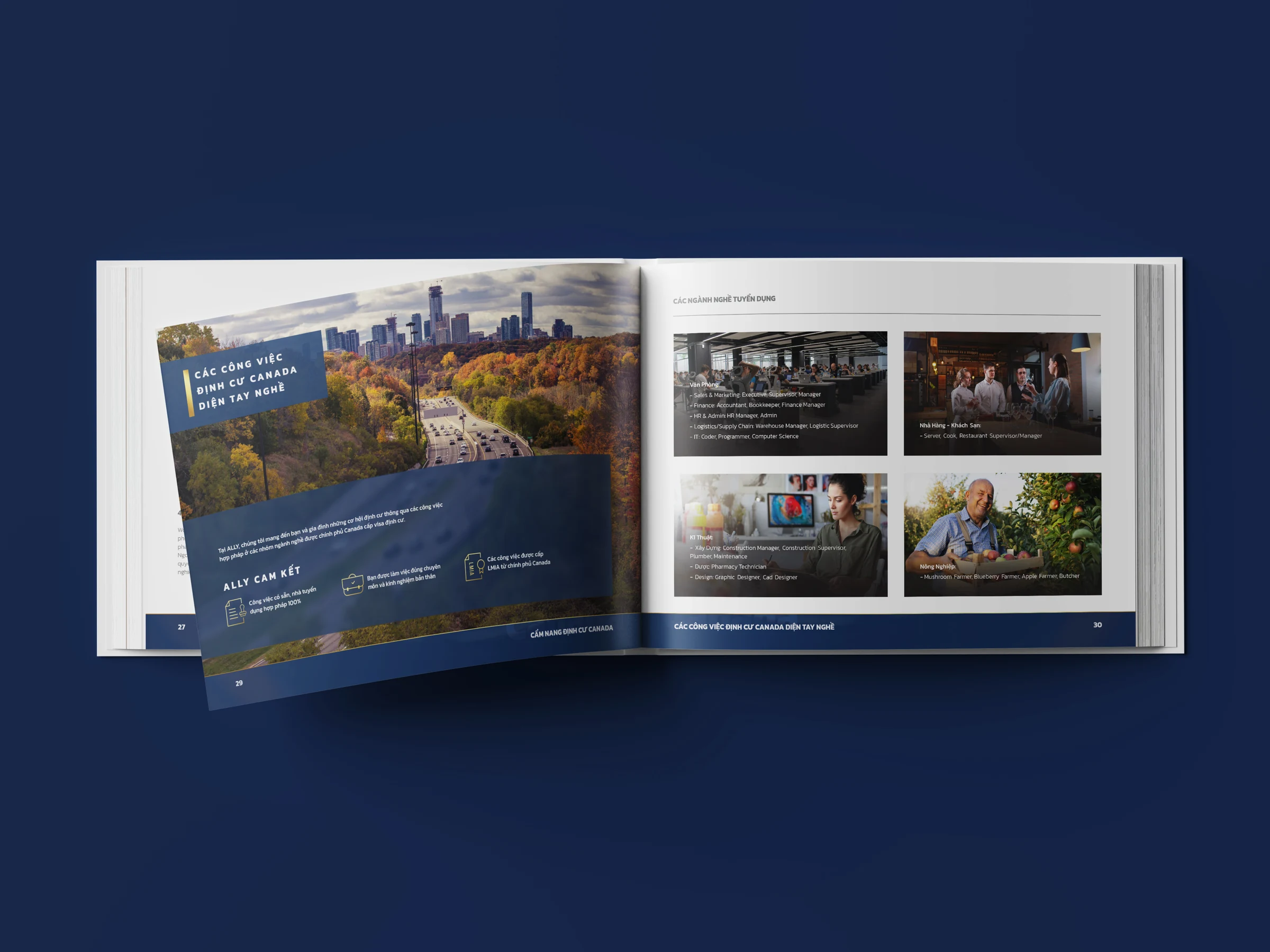 Immigration guide brochure spread design