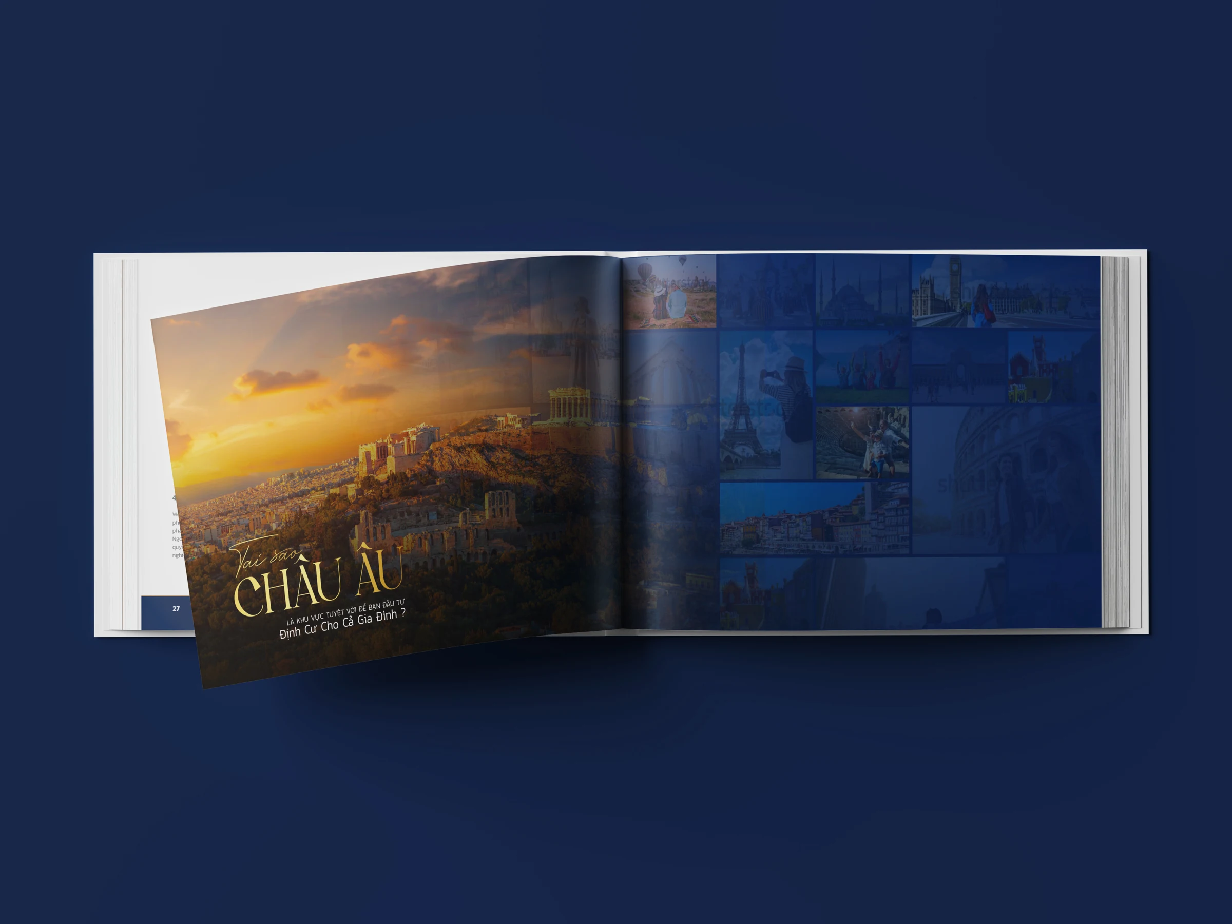 Immigration guide brochure spread design
